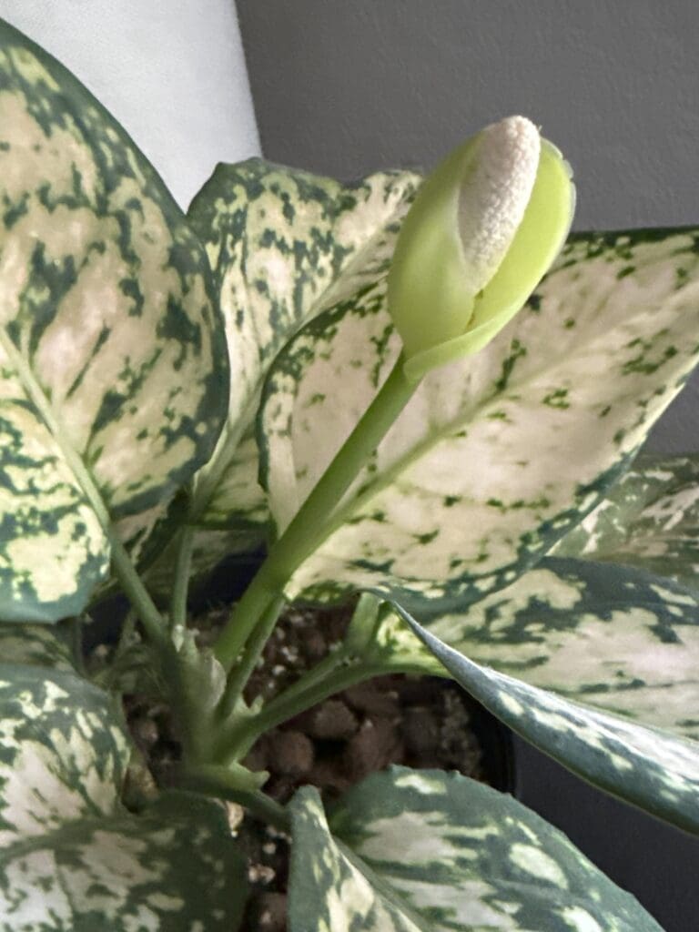 Image #1 from tyrel.richardson86