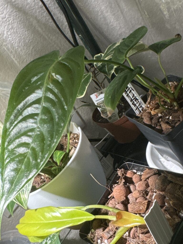 Image #4 from katielbc562-3544