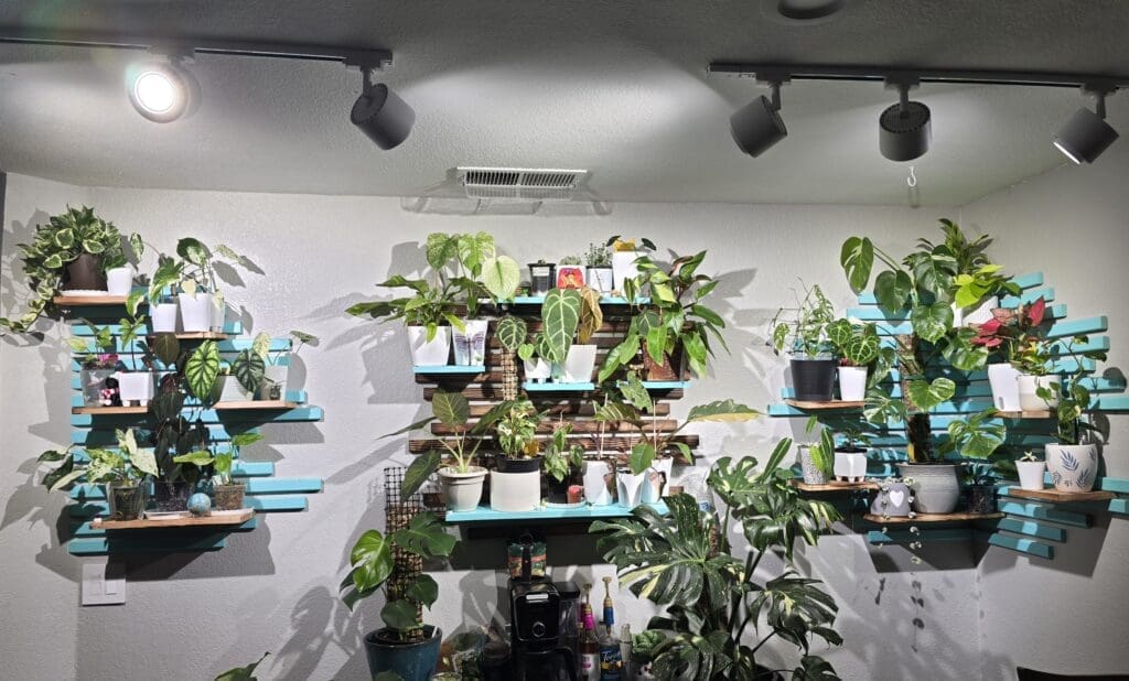 Image #1 from jchanoski