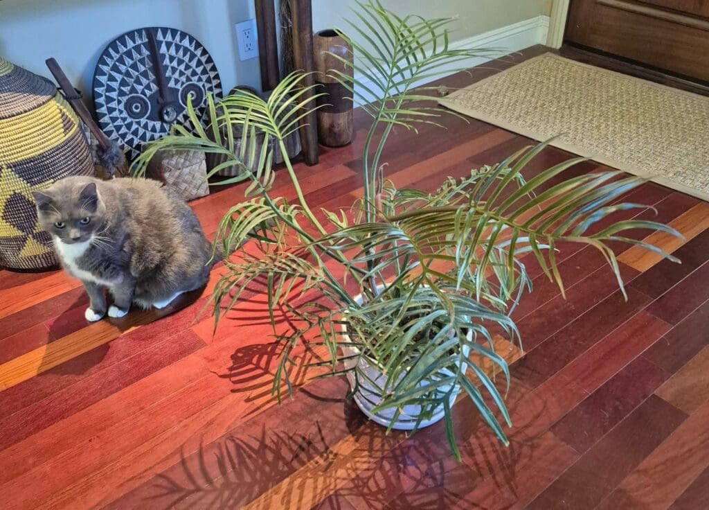 Image #1 from deborahschutz