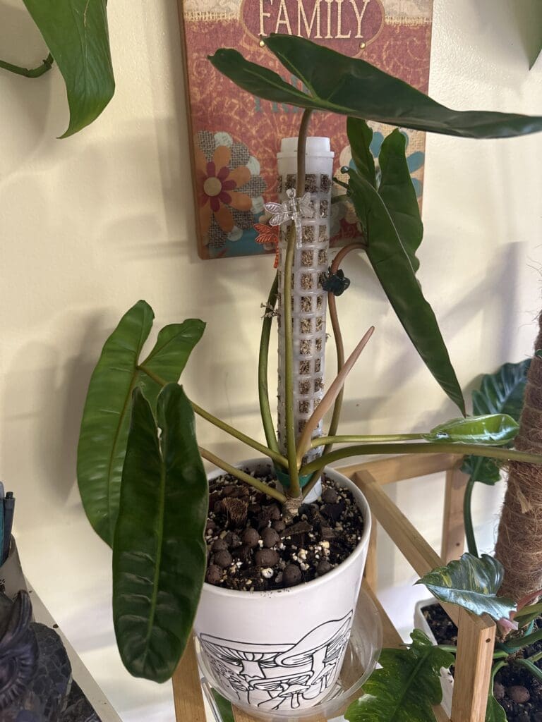 Image #2 from linda111812