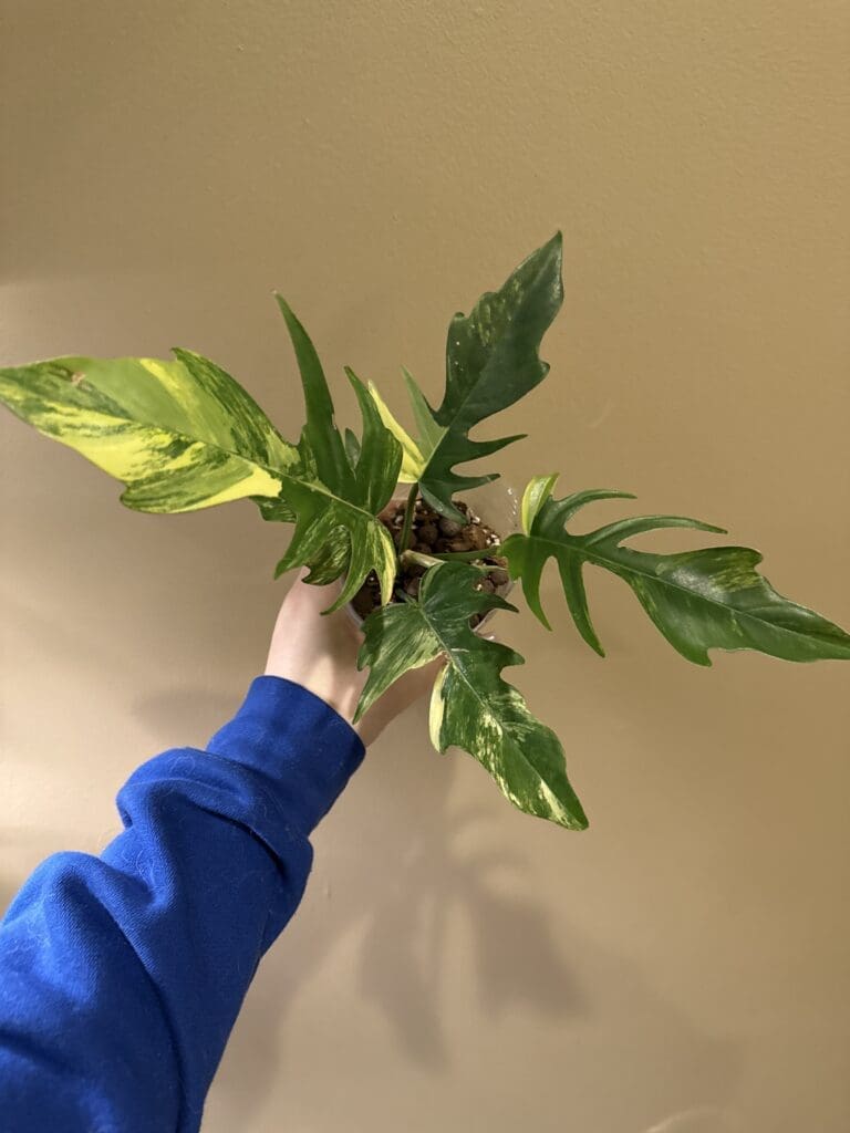 Image #1 from jordan.elliott