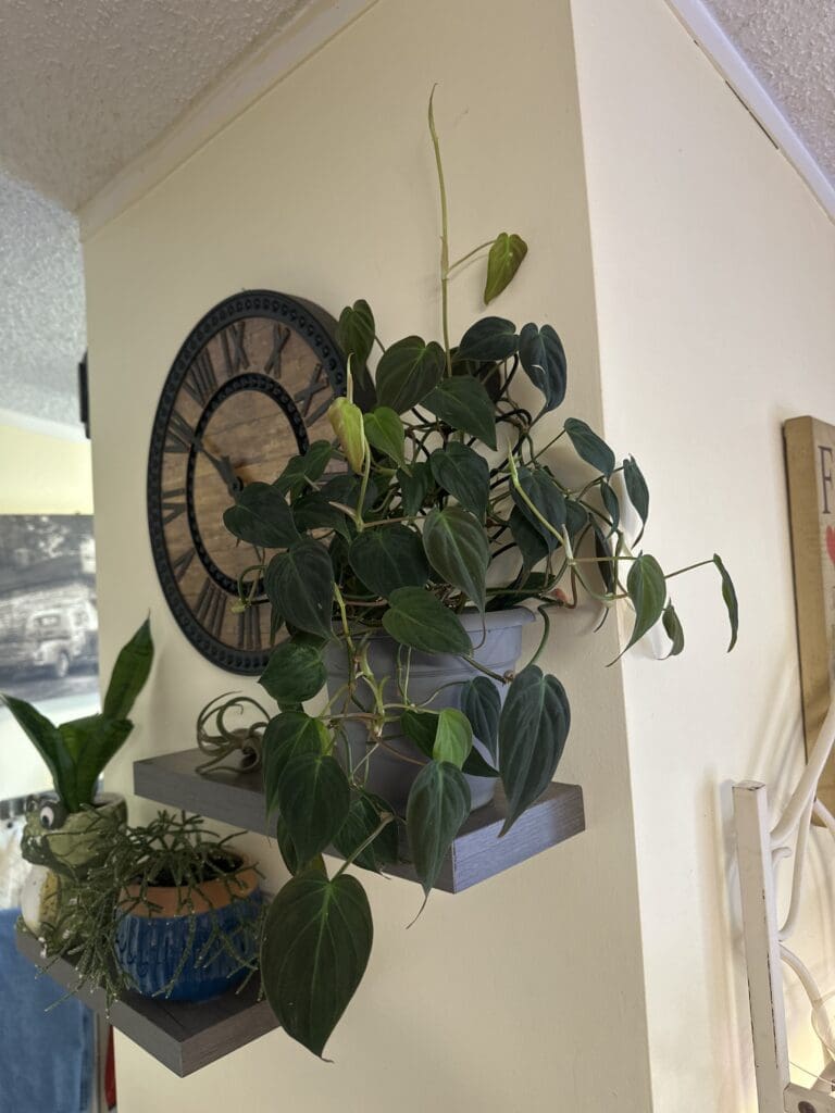 Image #3 from linda111812