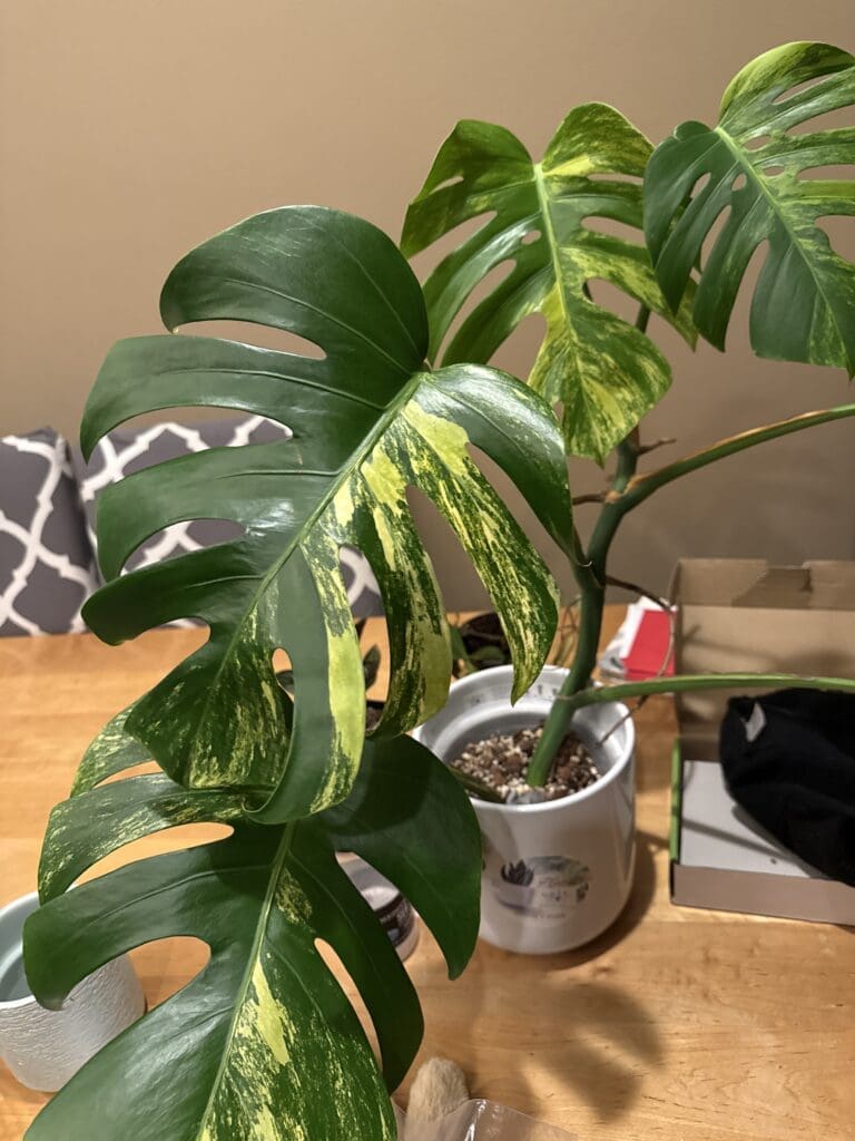 Image #3 from jordan.elliott