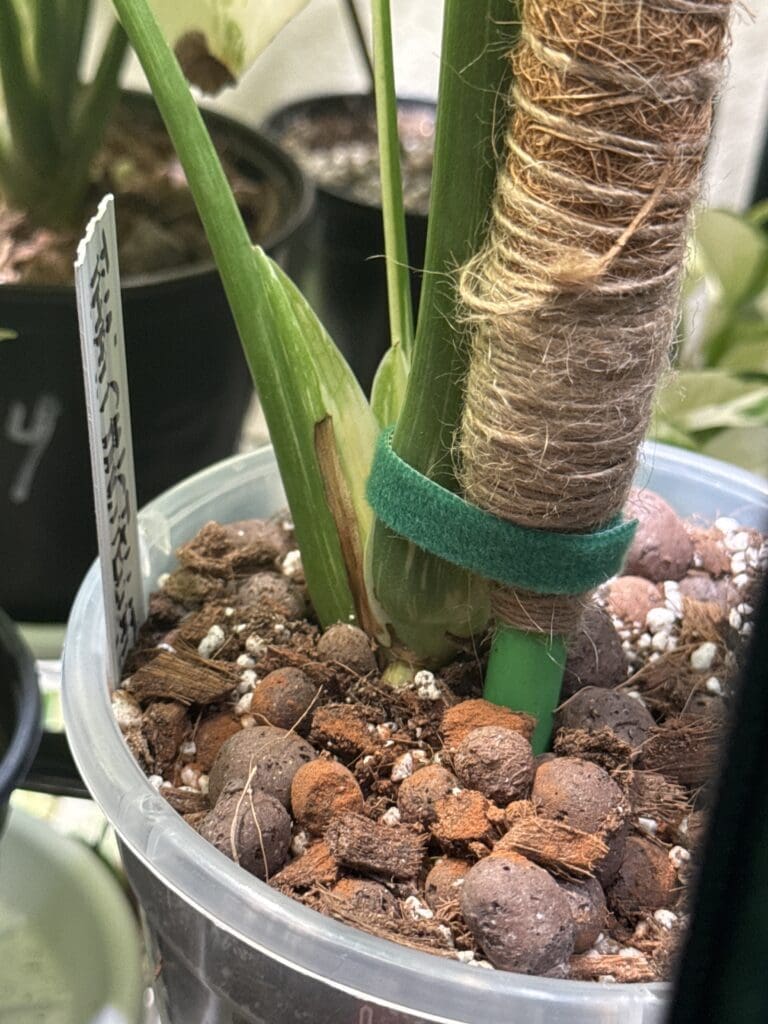 Image #1 from katielbc562-3544