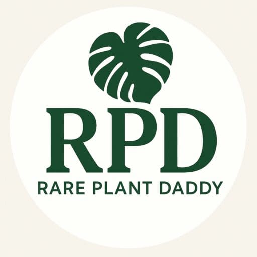 Rare Plant Daddy